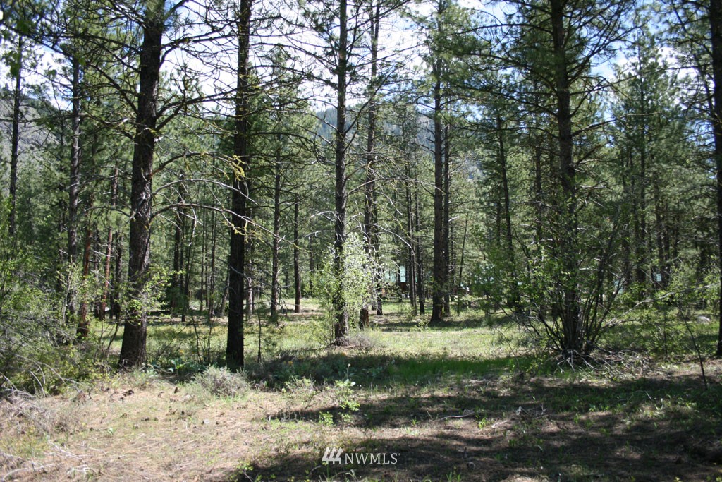 35 Country Road Mazama, WA 98833 - Photo 12 of 23 Gallery Image 12