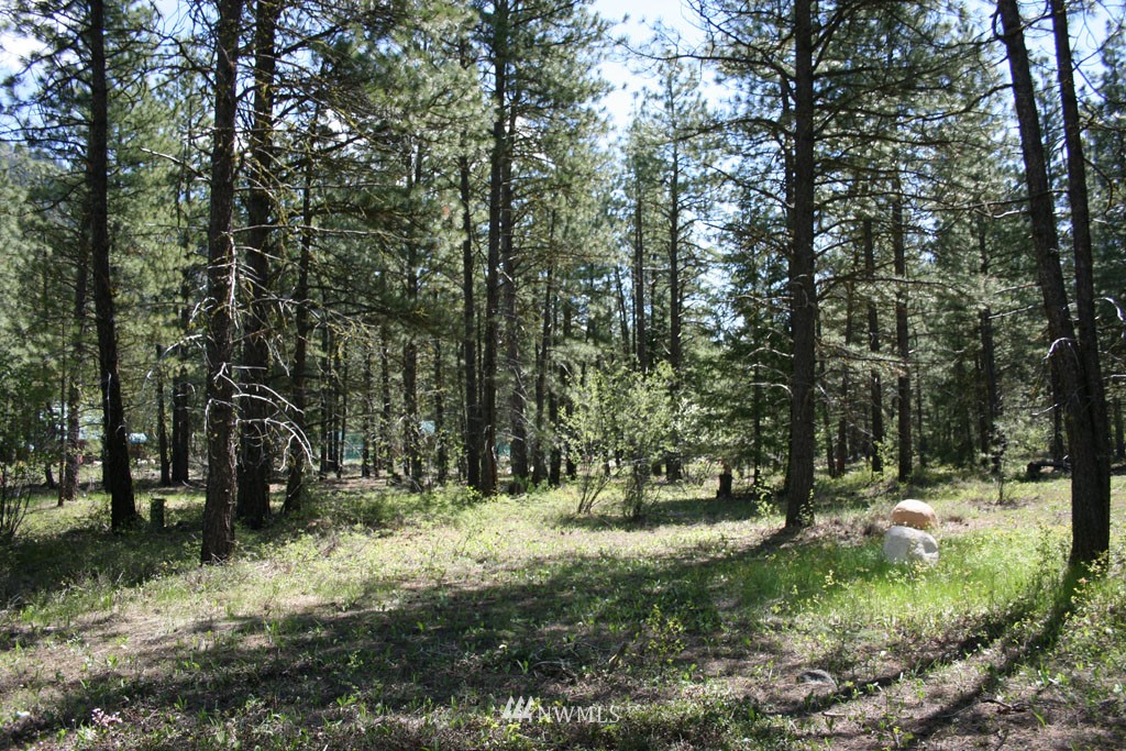 35 Country Road Mazama, WA 98833 - Photo 13 of 23 Gallery Image 13