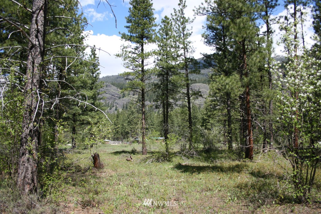 35 Country Road Mazama, WA 98833 - Photo 14 of 23 Gallery Image 14