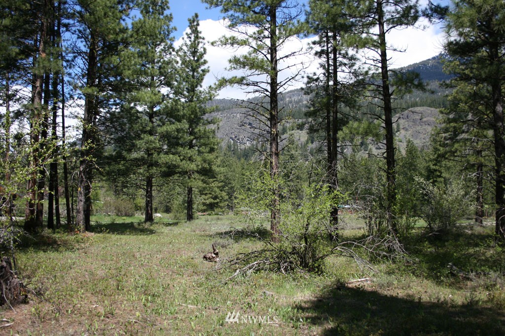 35 Country Road Mazama, WA 98833 - Photo 15 of 23 Gallery Image 15
