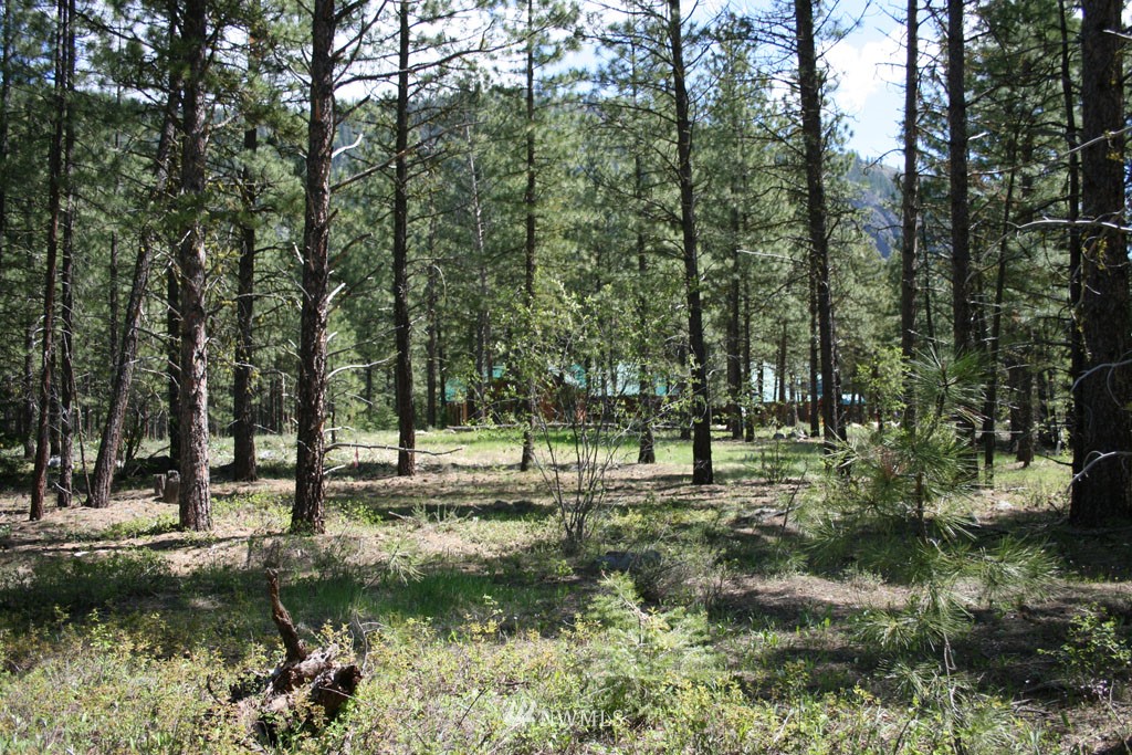 35 Country Road Mazama, WA 98833 - Photo 16 of 23 Gallery Image 16