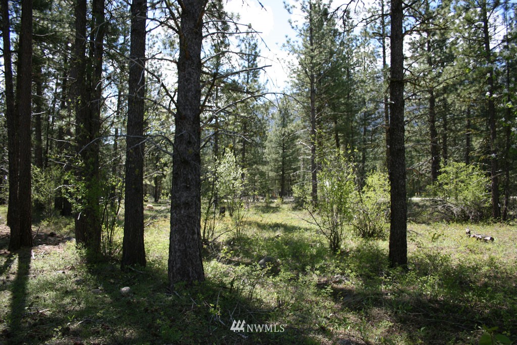 35 Country Road Mazama, WA 98833 - Photo 17 of 23 Gallery Image 17