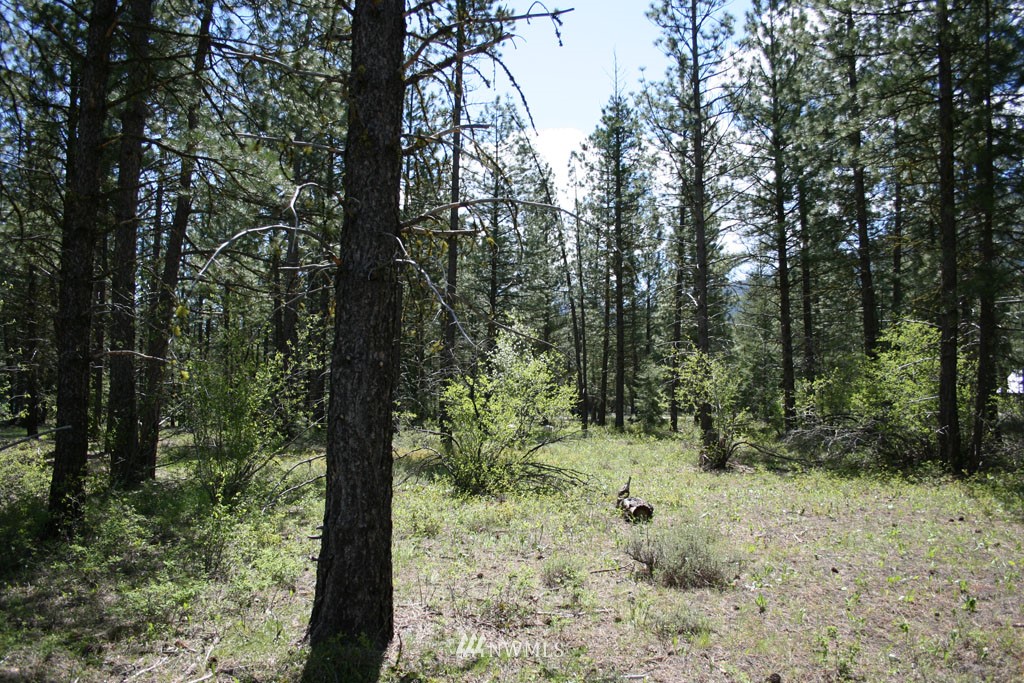 35 Country Road Mazama, WA 98833 - Photo 18 of 23 Gallery Image 18