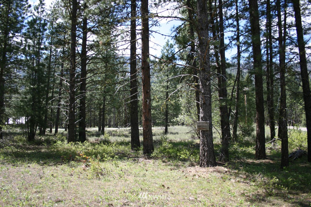 35 Country Road Mazama, WA 98833 - Photo 19 of 23 Gallery Image 19