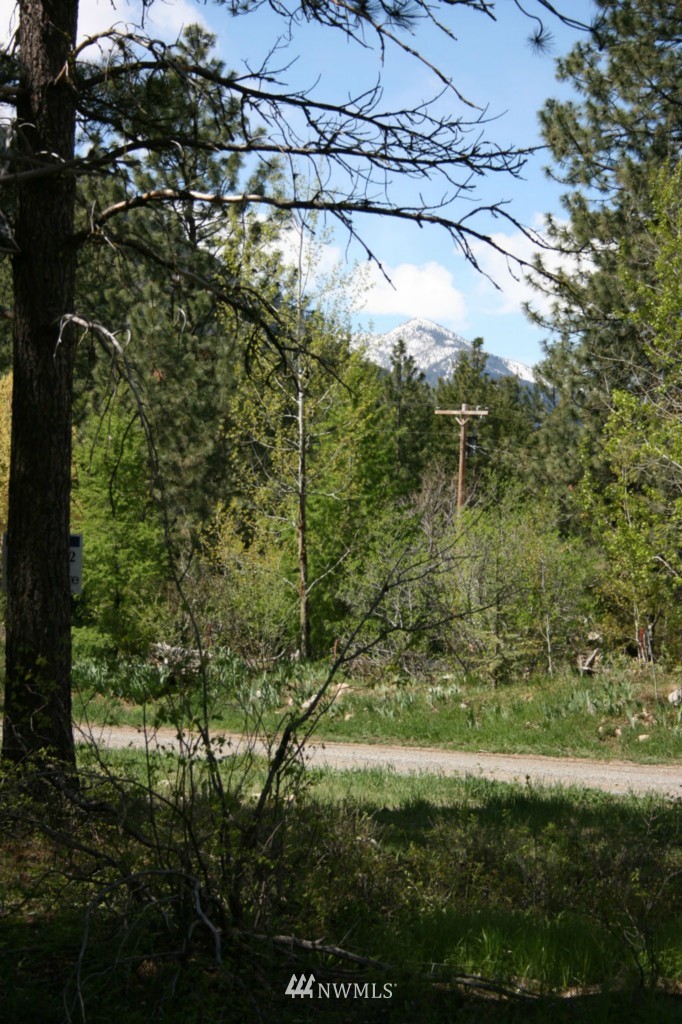 35 Country Road Mazama, WA 98833 - Photo 20 of 23 Gallery Image 20