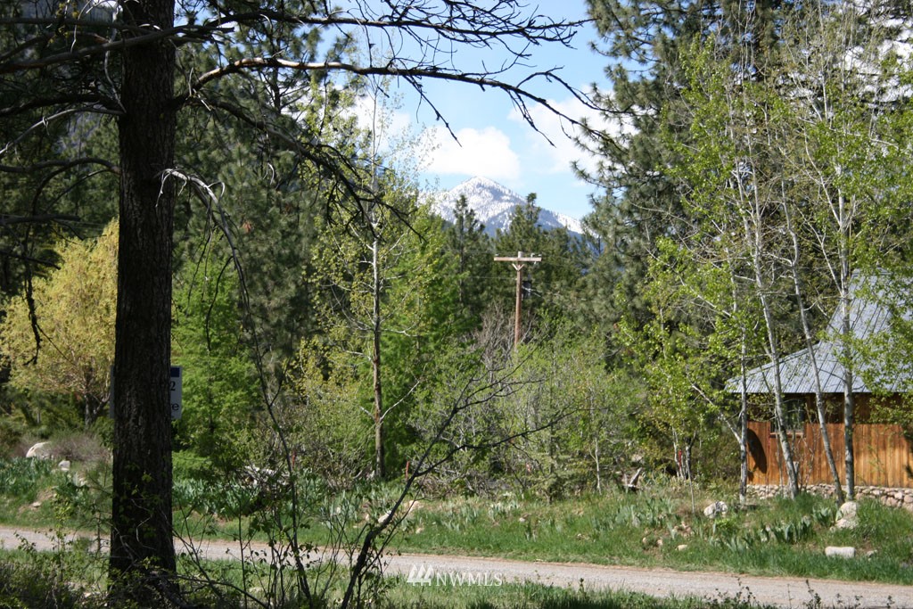 35 Country Road Mazama, WA 98833 - Photo 21 of 23 Gallery Image 21