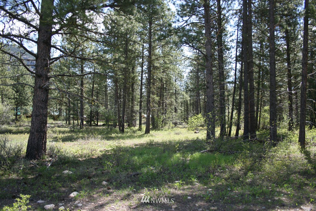 35 Country Road Mazama, WA 98833 - Photo 22 of 23 Gallery Image 22