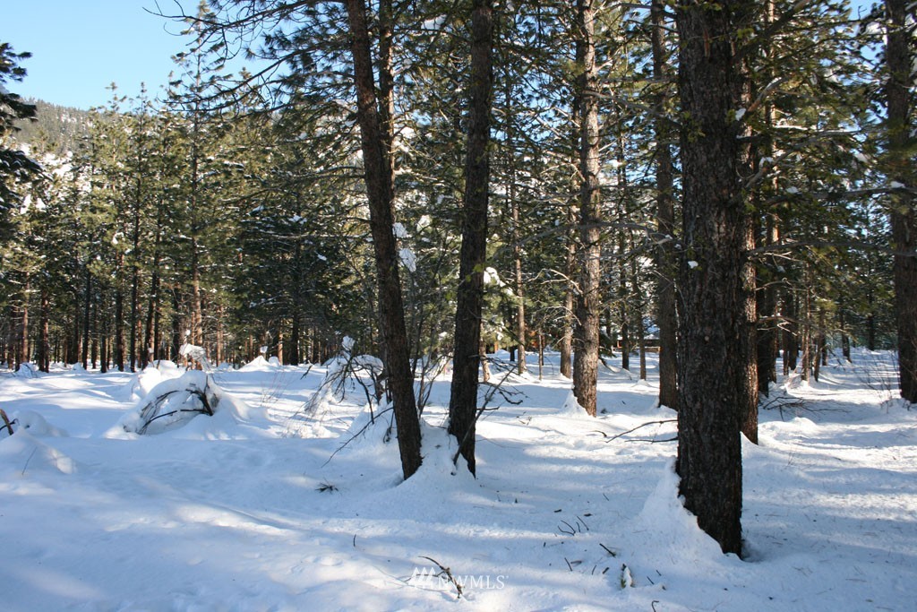 35 Country Road Mazama, WA 98833 - Photo 4 of 23 Gallery Image 4