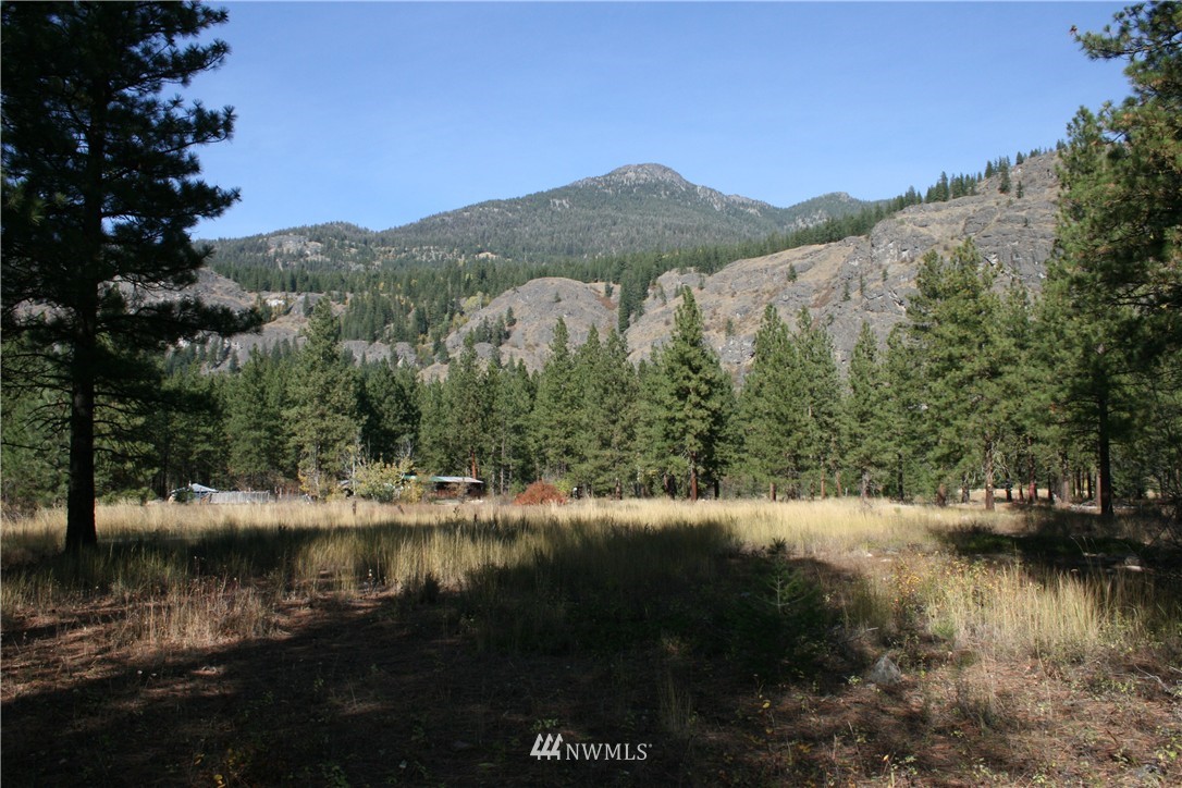 35 Country Road Mazama, WA 98833 - Photo 6 of 23 Gallery Image 6