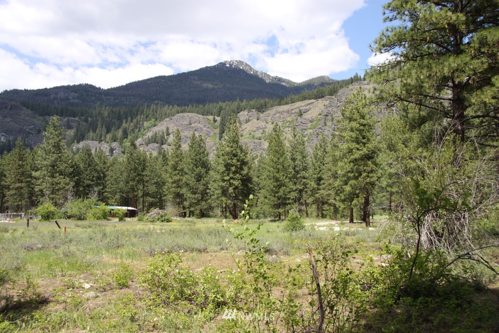 35 Country Road Mazama, WA 98833 - Photo 7 of 23 Gallery Image 7