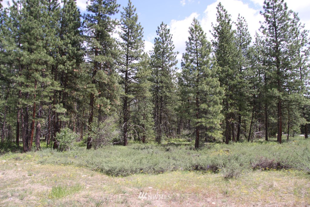 35 Country Road Mazama, WA 98833 - Photo 8 of 23 Gallery Image 8