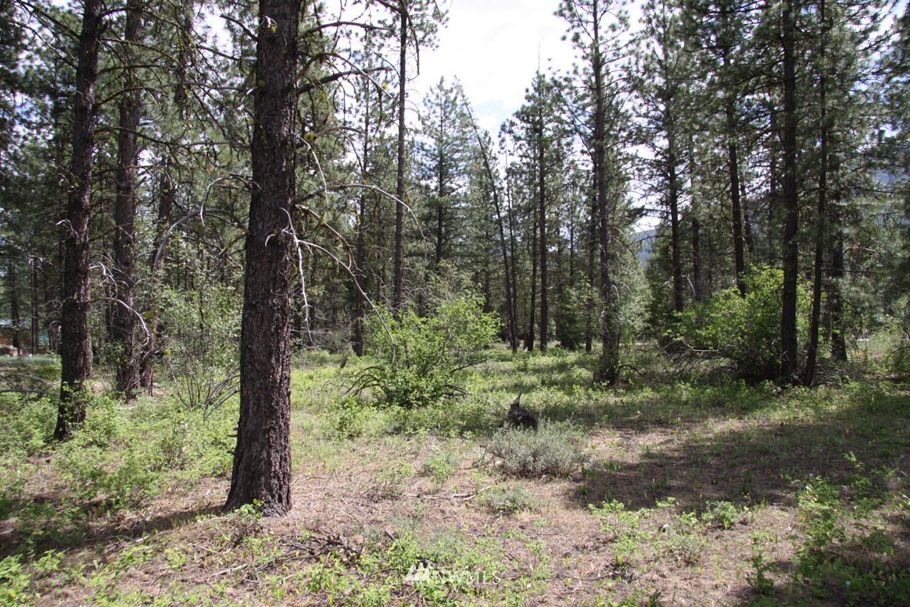 35 Country Road Mazama, WA 98833 - Photo 9 of 23 Gallery Image 9