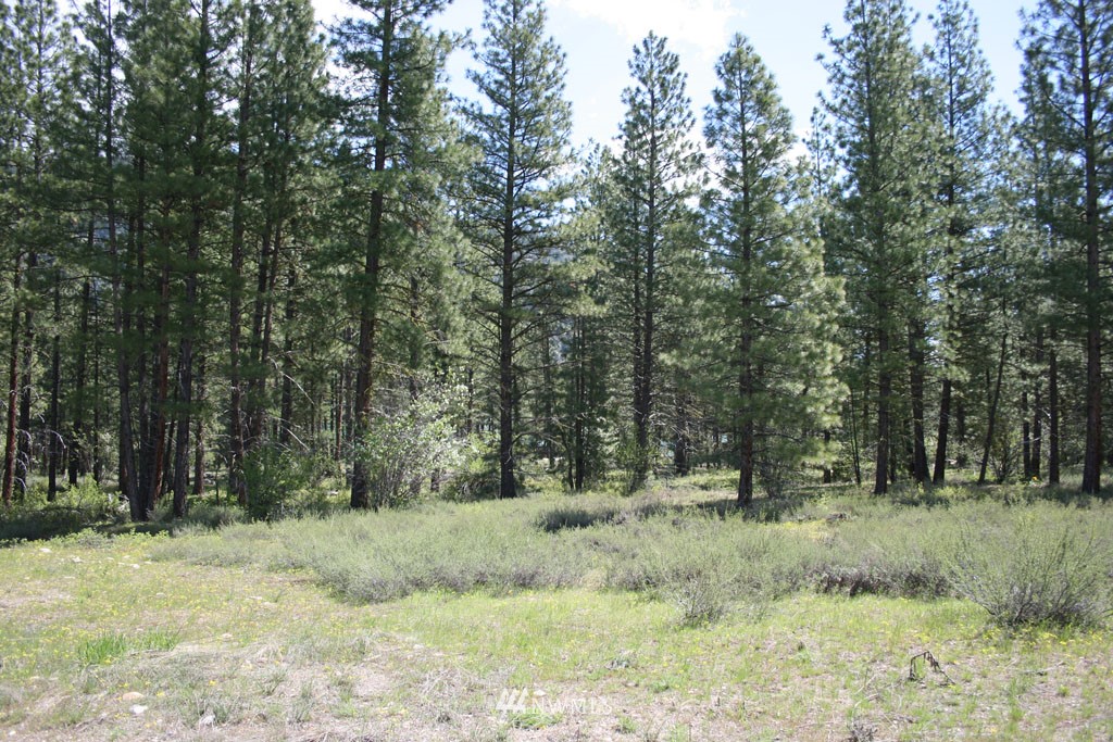 35 Country Road Mazama, WA 98833 - Photo 10 of 23 Gallery Image 10