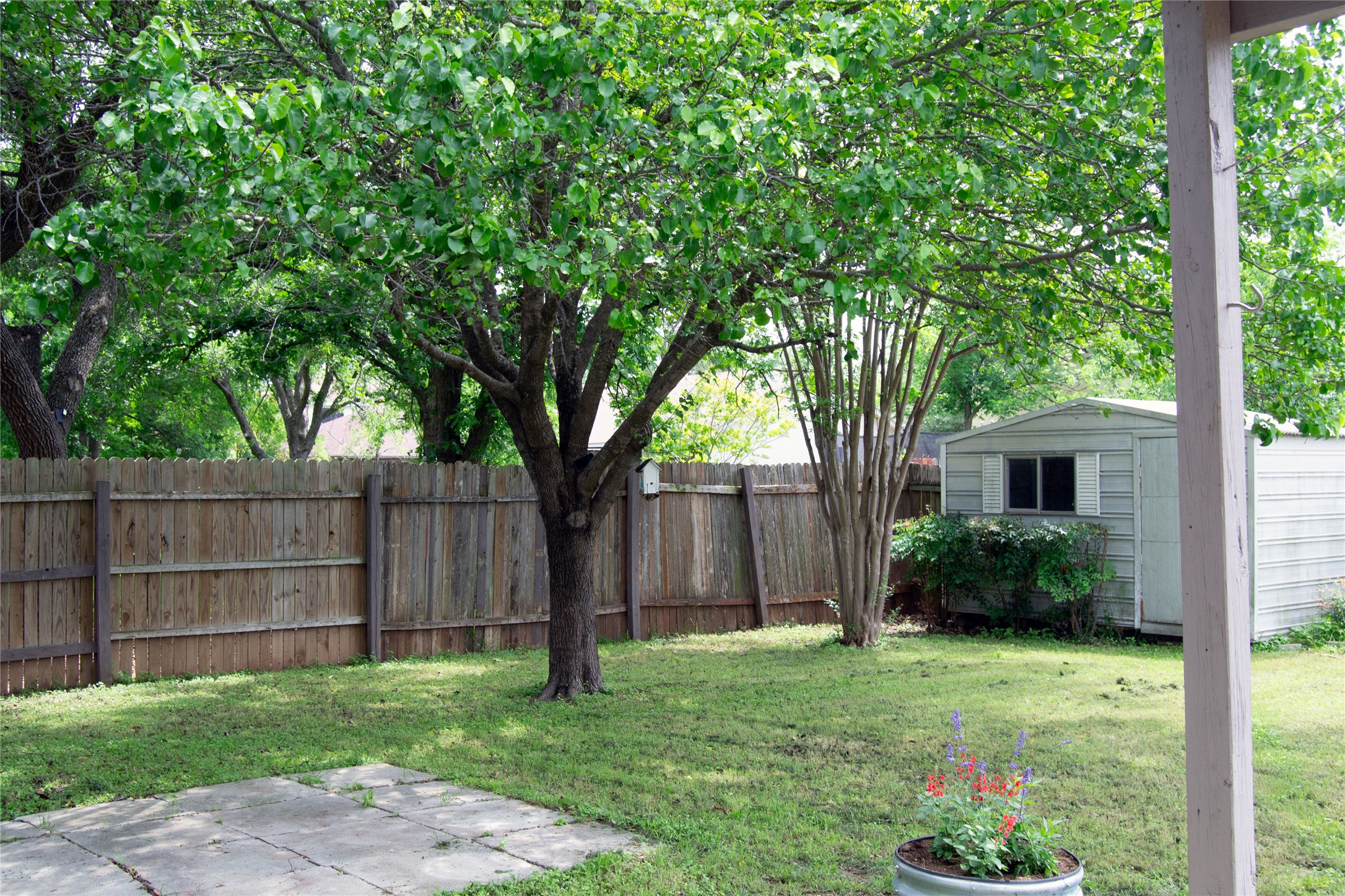 2501 Autrey Drive Leander, TX 78641 - Photo 24 of 27 a backyard of a house with plants and large tree