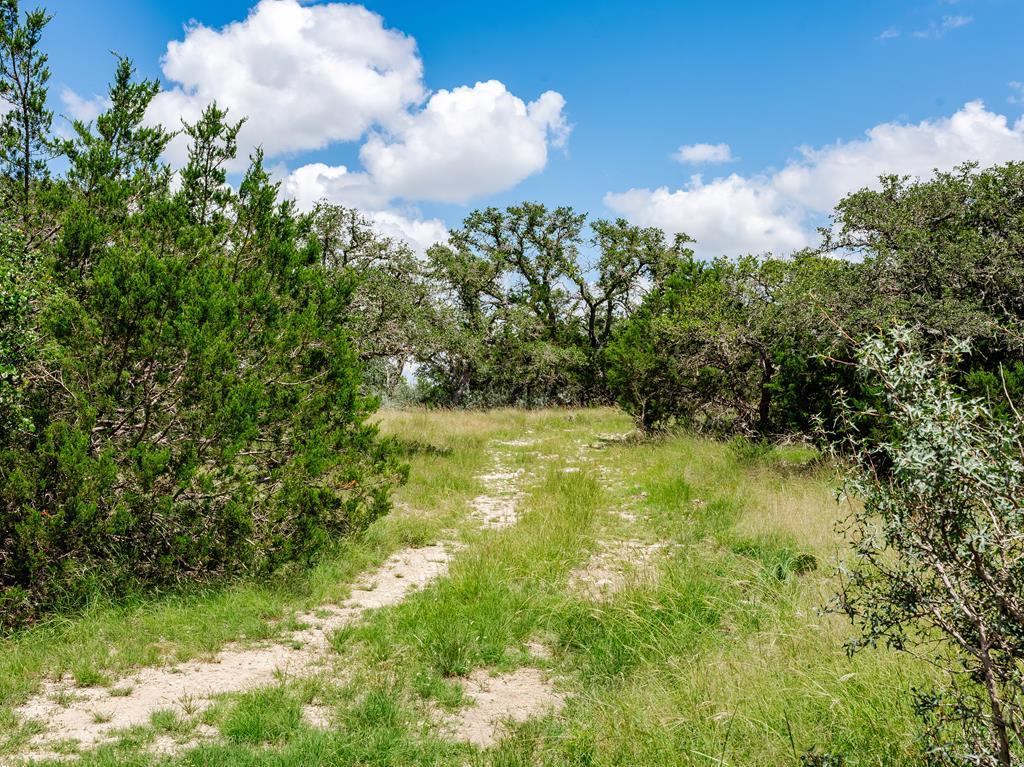 1632 Link, Unit 9 Doss, TX 78618 - Photo 2 of 25