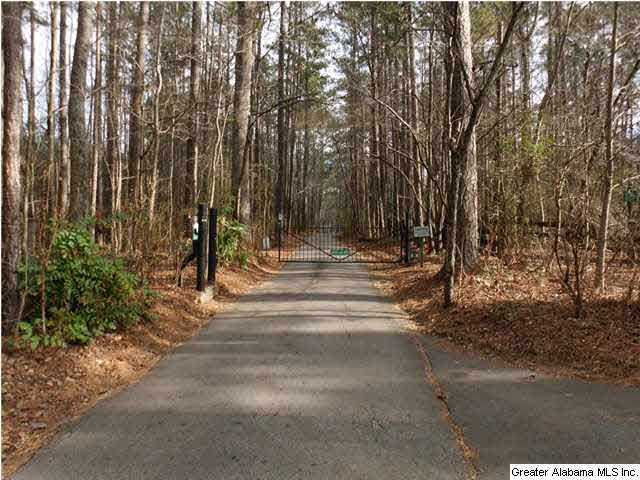 1820 Smyer Lake Road Birmingham, AL 35242 - Photo 25 of 25