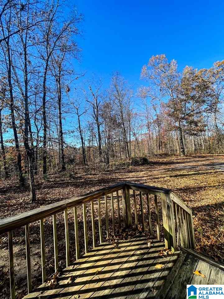 1169 Raywood Road Woodstock, AL 35188 - Photo 31 of 50