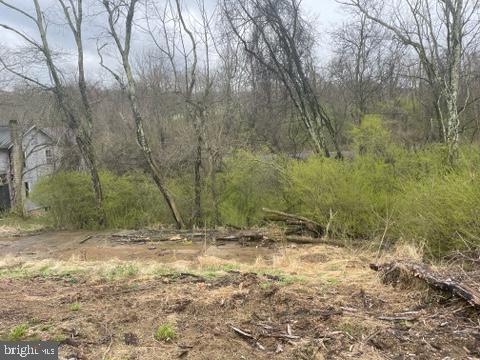 615 Meadow Grove Road Newport, PA 17074 - Photo 5 of 5 Gallery Image 5