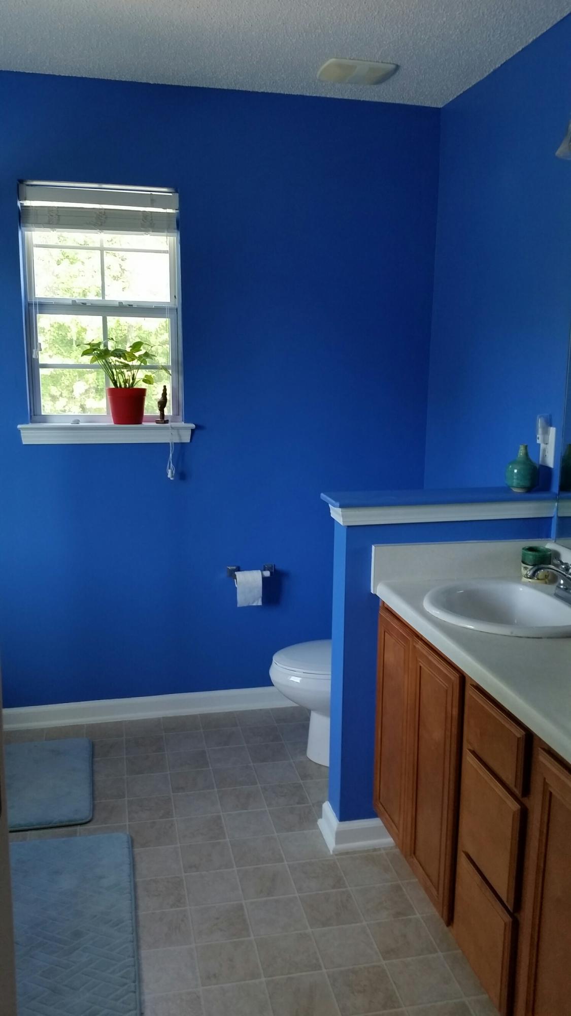 3561 Galaxy Road Ladson, SC 29456 - Photo 11 of 12 Master Bath