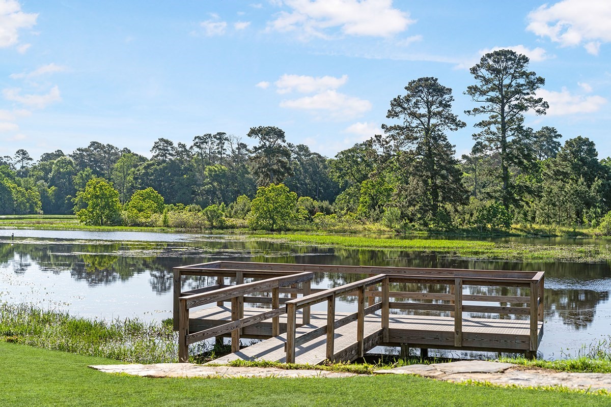42568 Edmund Rucker Lane Magnolia, TX 77354 - Photo 16 of 18 a view of a swimming pool with a yard