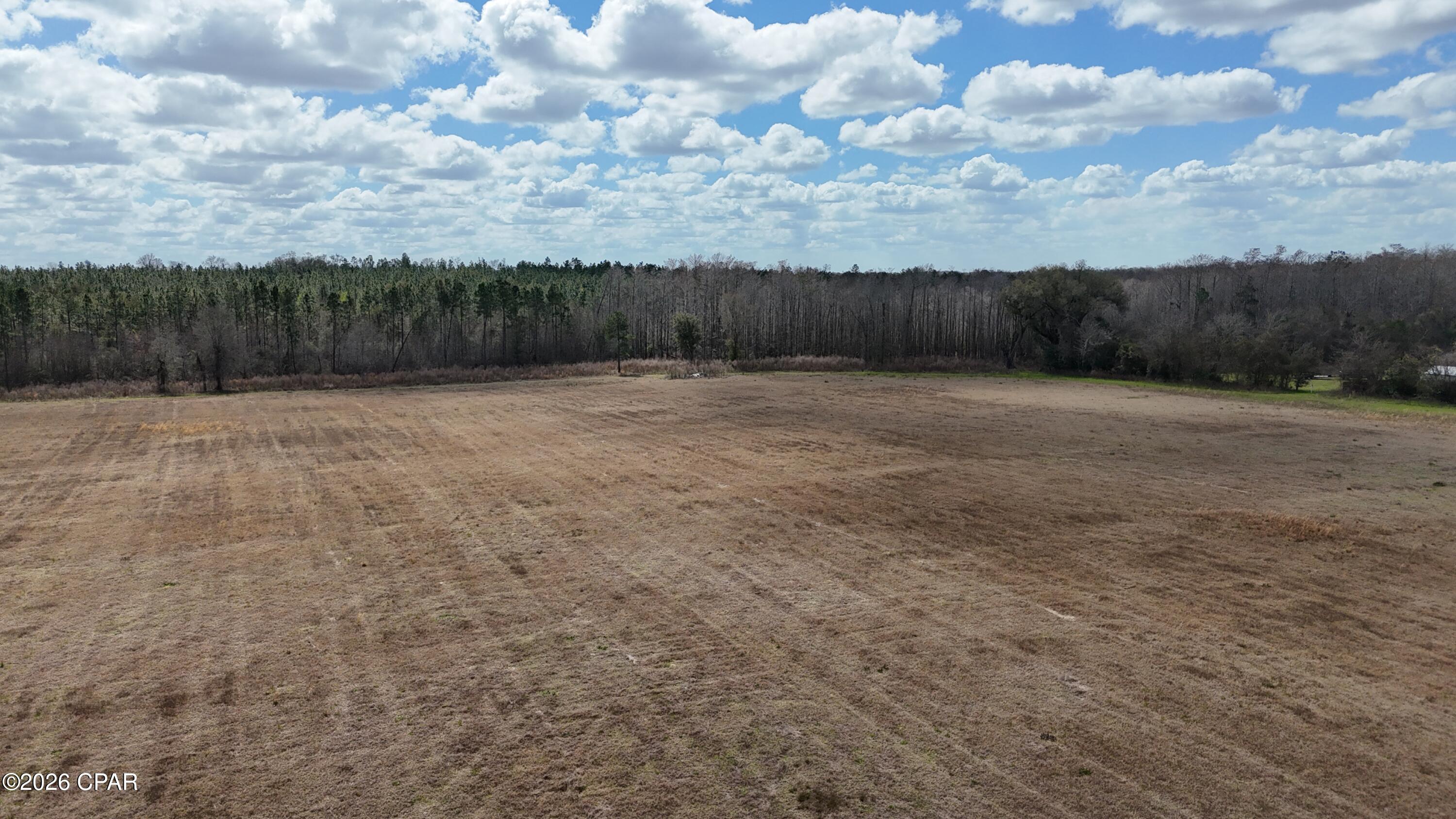 6775 Highway 90 Grand Ridge, FL 32442 - Photo 58 of 89