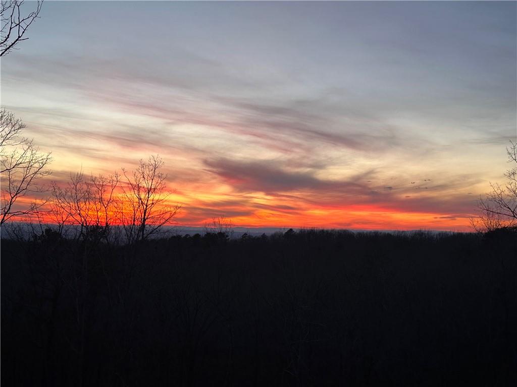 1172 Hunter Drive Ranger, GA 30734 - Photo 4 of 78