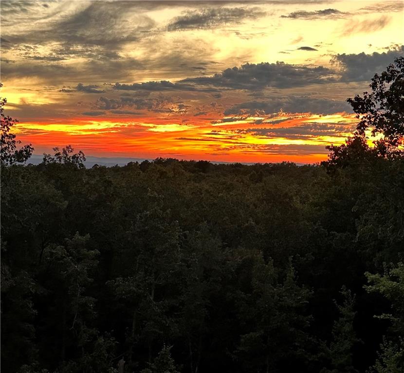 1172 Hunter Drive Ranger, GA 30734 - Photo 77 of 78