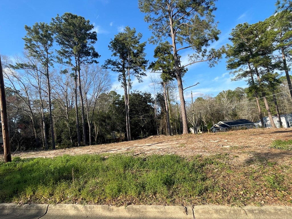 0 Phillips Terrace Dothan, AL 36303 - Photo 4 of 4