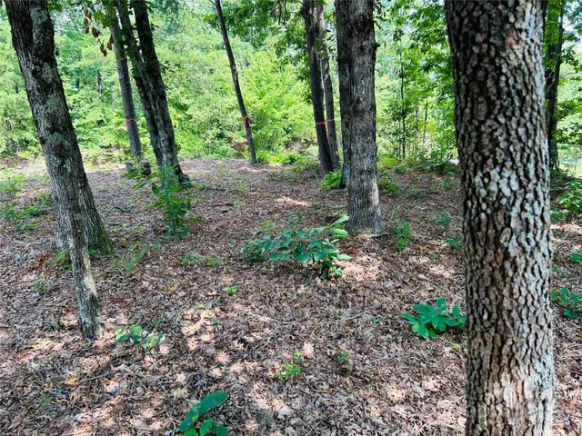 $269,000 | 8799 Lisa Trail, Connelly Springs, NC 28612