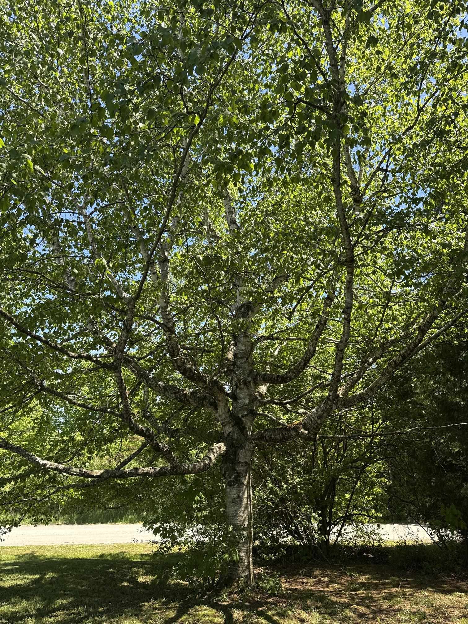 77 Lynrick Acres Road Charlotte, VT 05445 - Photo 7 of 34 Gallery Image 7