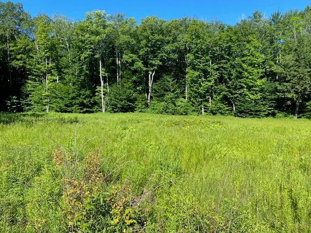 Seldon Road Petoskey, MI 49770 - Photo 15 of 21 Gallery Image 15