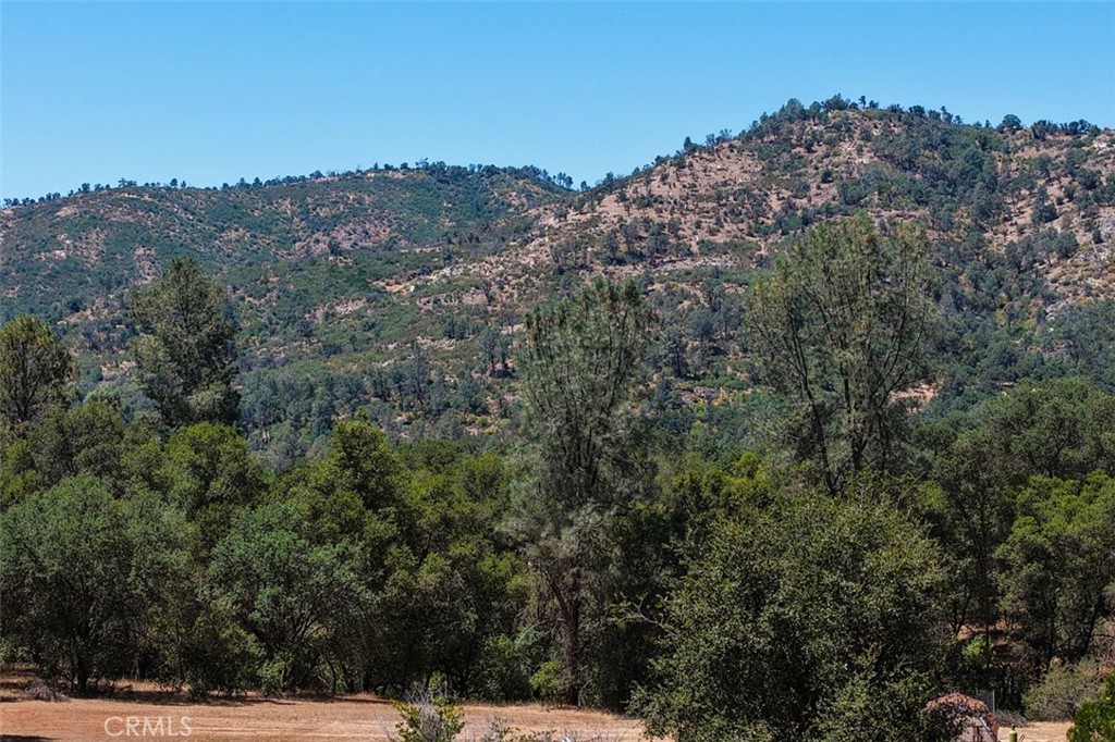 4078 Live Oak Road Mariposa, CA 95338 - Photo 49 of 63