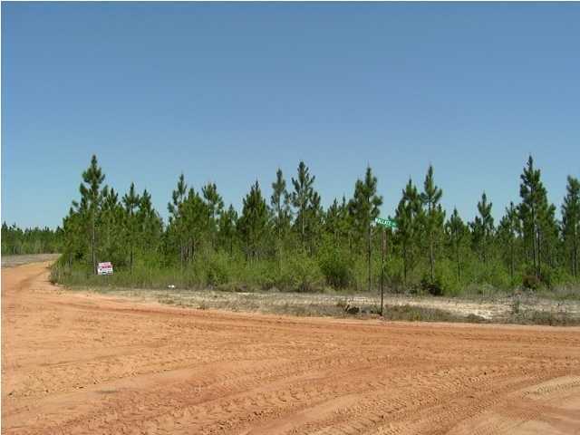 Lot 8 Sandy Ramp Road DeFuniak Springs, FL 32433 - Photo 3 of 3 a backyard of a house with lots of green space