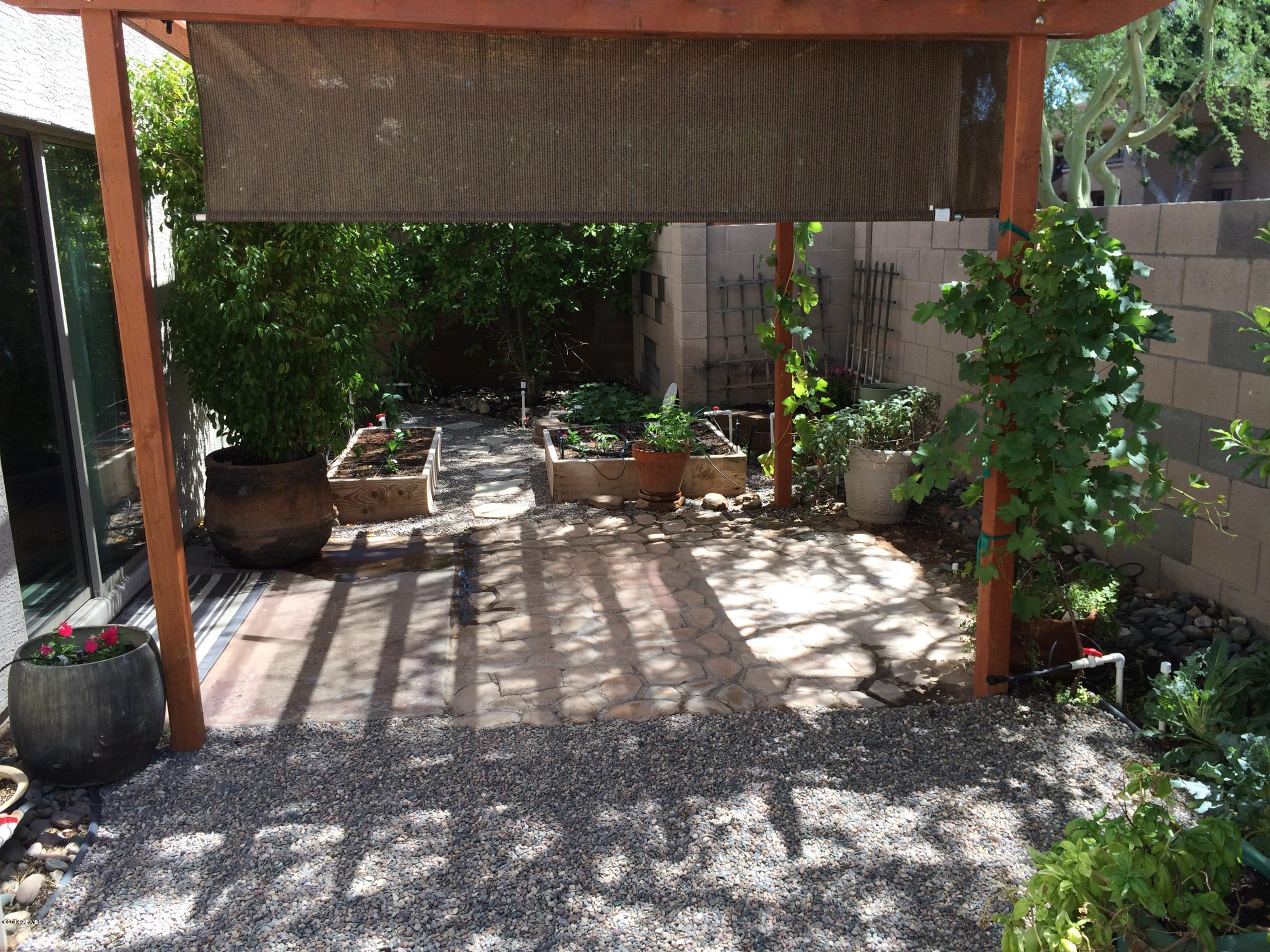 3545 West Kathleen Road Phoenix, AZ 85053 - Photo 31 of 33 Riesberg 155