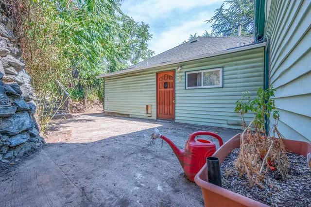 a view of a backyard with plants and large trees
