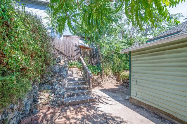 a view of backyard with potted plants and large tree