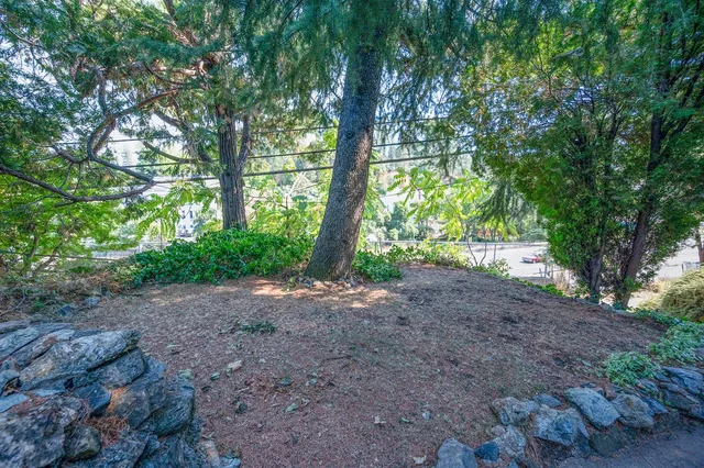 a backyard of a house with lots of green space