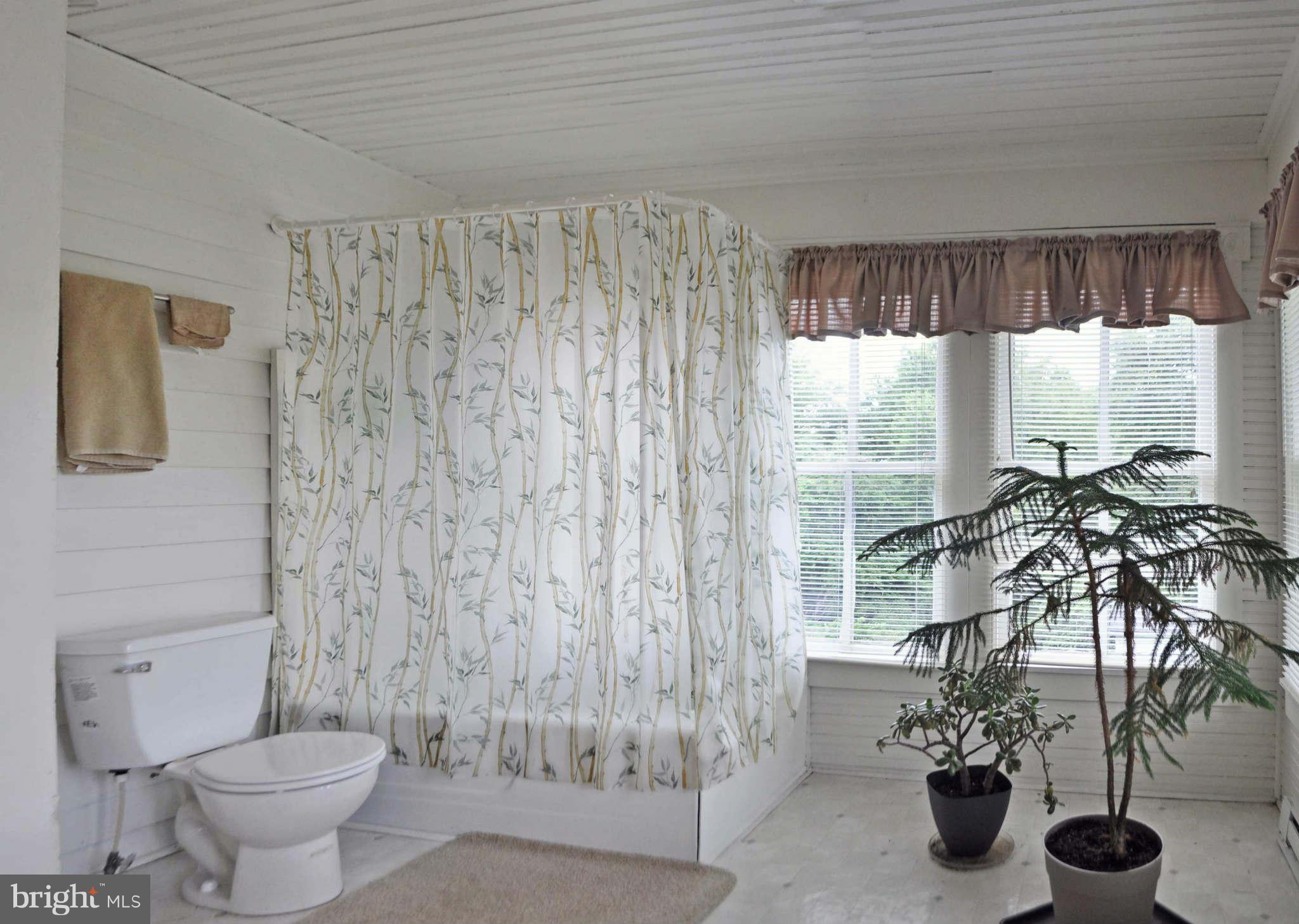 24052 Batna Road Lignum, VA 22726 - Photo 19 of 30 Bath