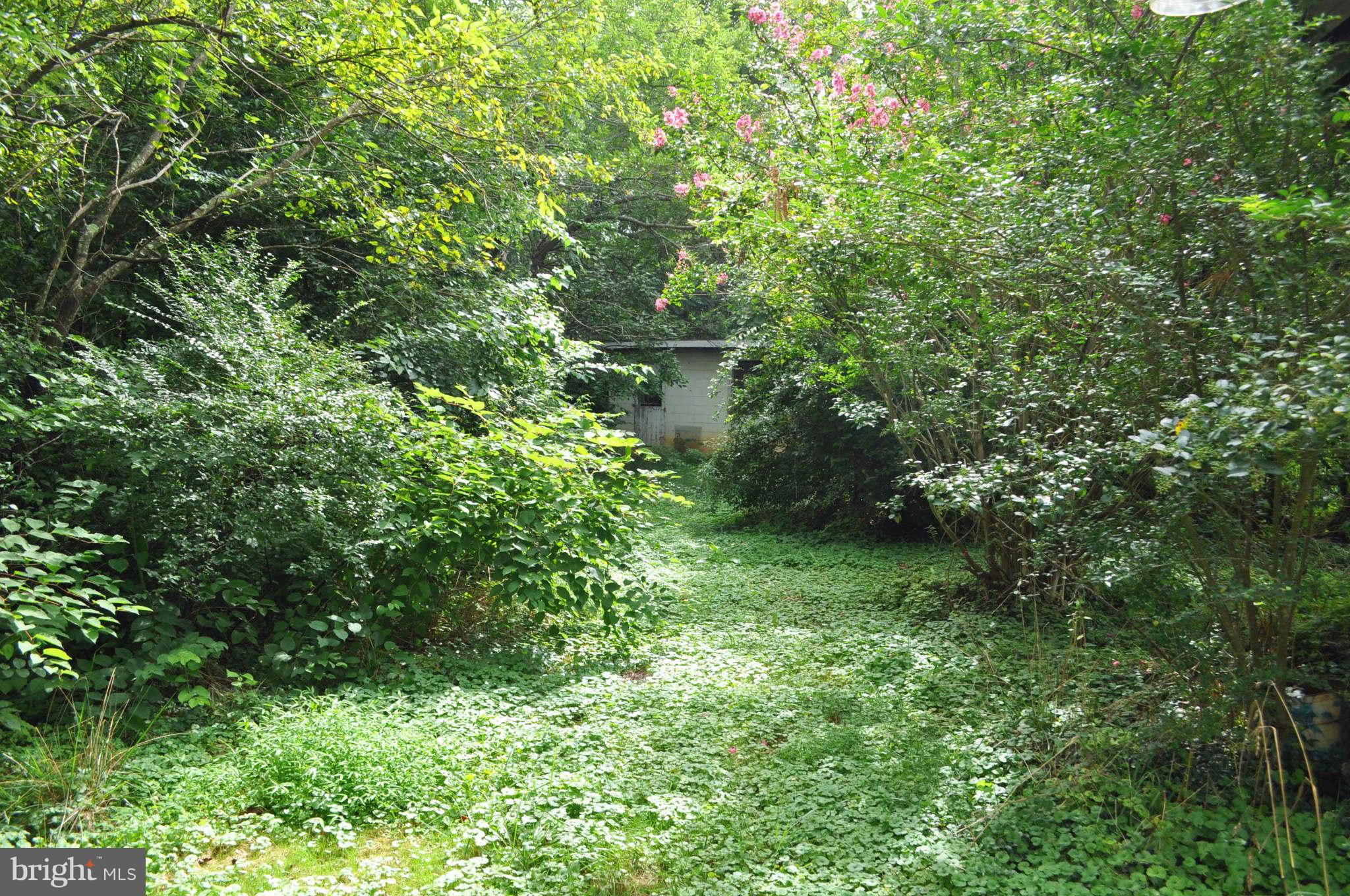 24052 Batna Road Lignum, VA 22726 - Photo 30 of 30 A secret place around the bend