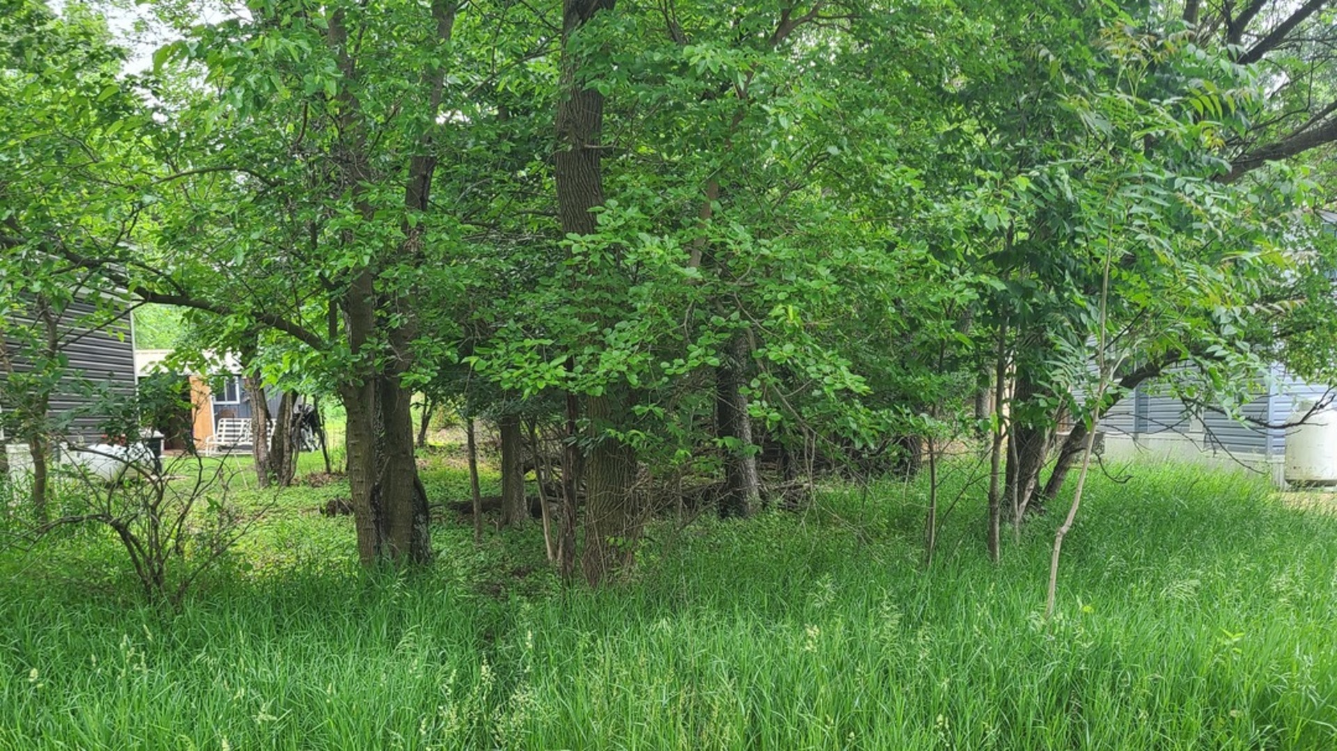 a view of outdoor space and a yard