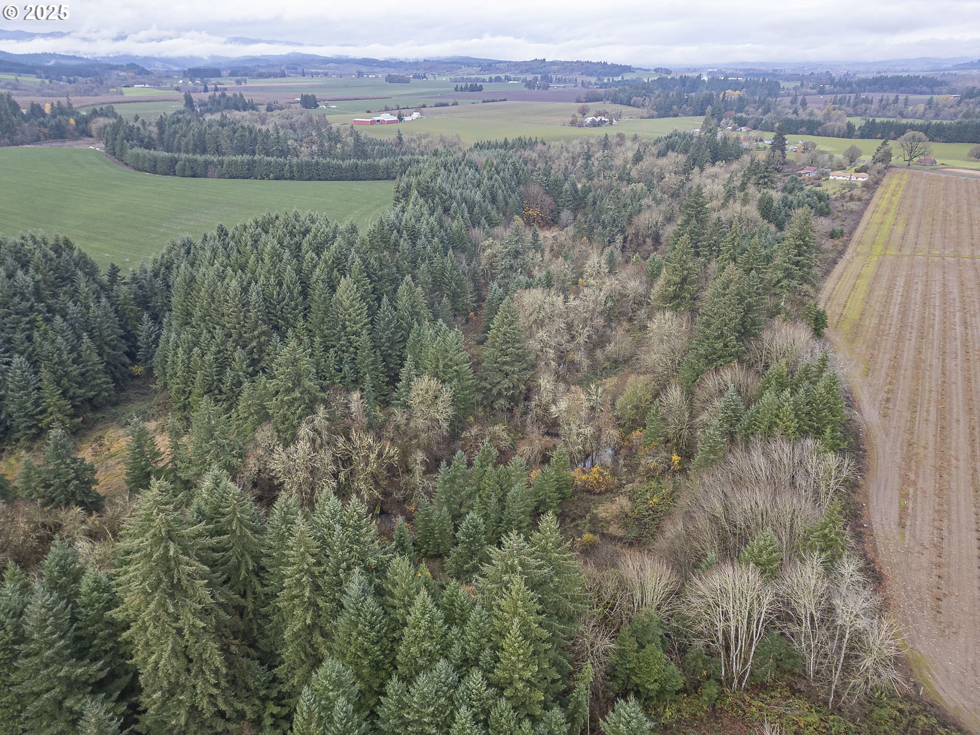 7295 Northwest Poverty Bend Road McMinnville, OR 97128 - Photo 41 of 44 a view of an outdoor space with a lake view