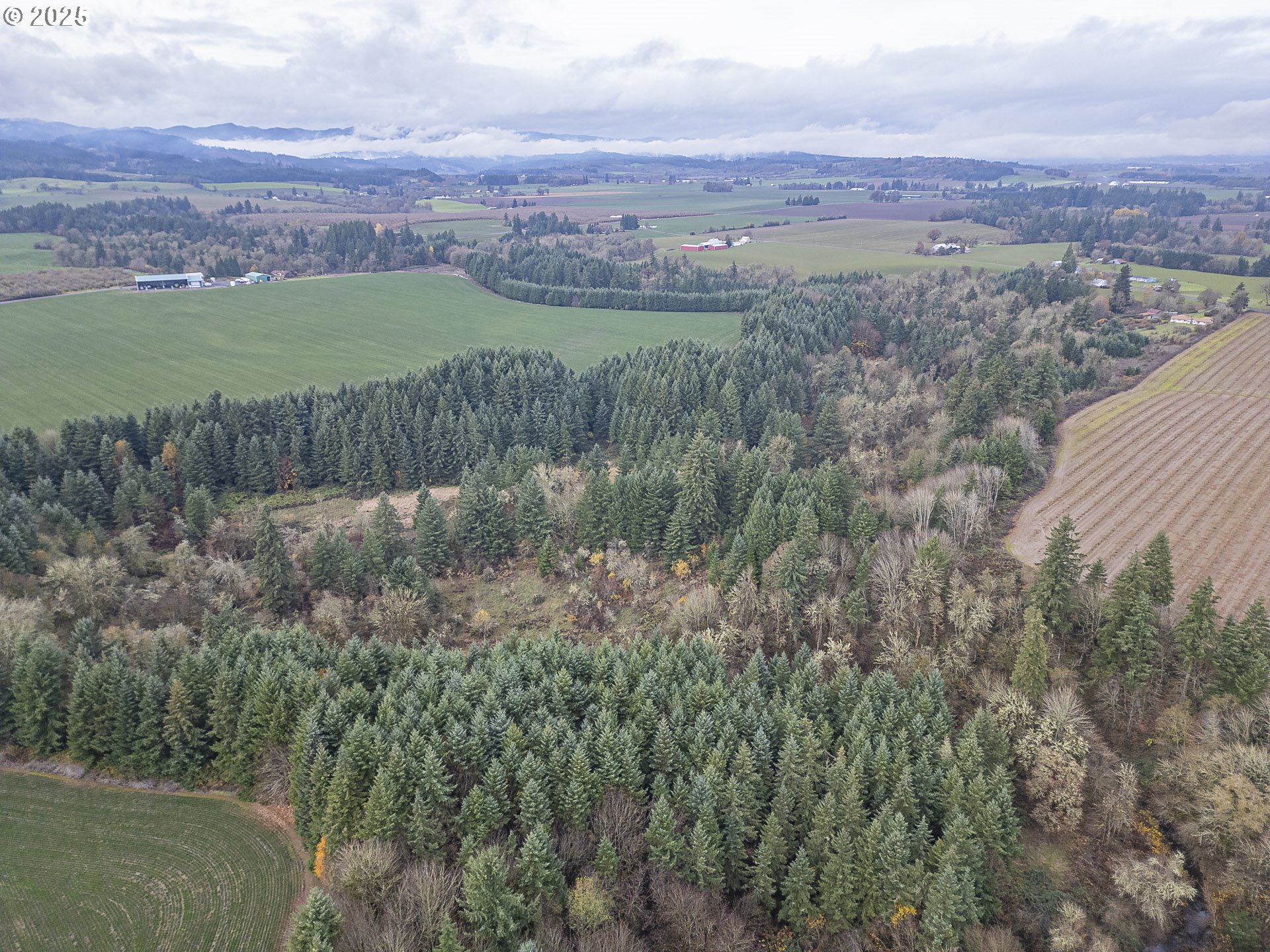 7295 Northwest Poverty Bend Road McMinnville, OR 97128 - Photo 44 of 44 an aerial view of a house with a yard