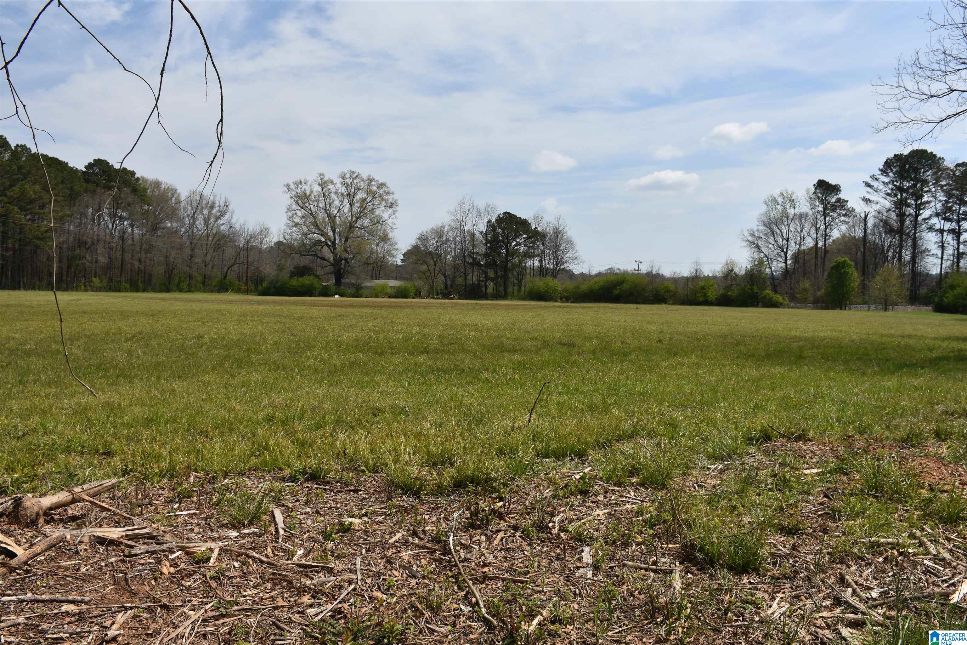 2323 Motes Road Sylacauga, AL 35150 - Photo 5 of 6