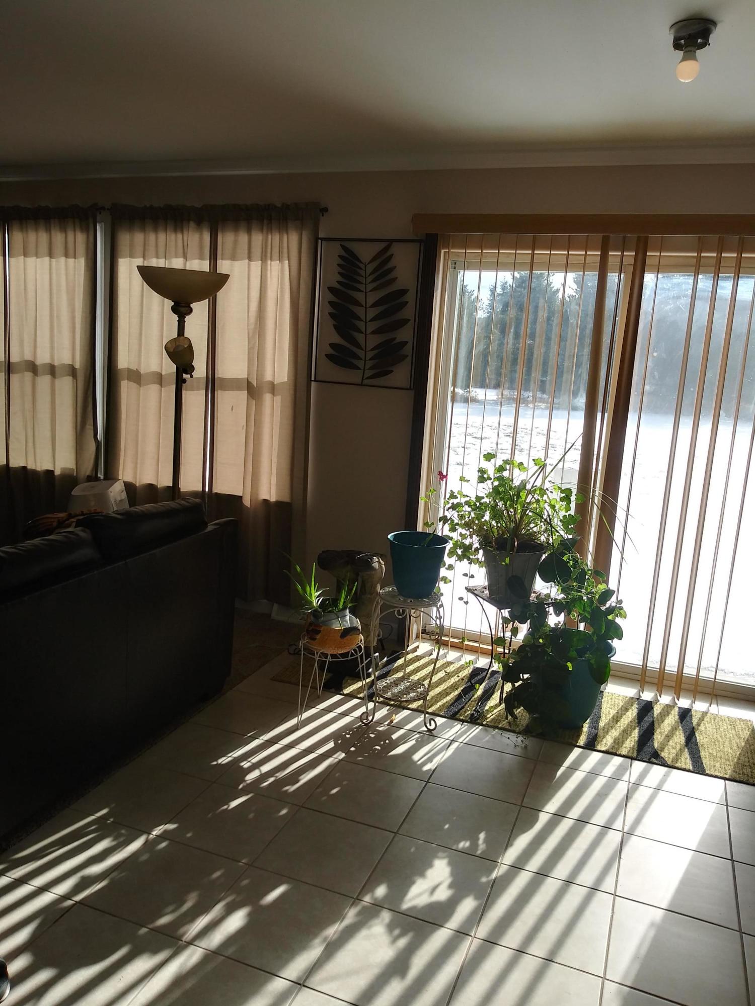 2632 Cardinal Circle Cheboygan, MI 49721 - Photo 10 of 21 Gallery Image 10