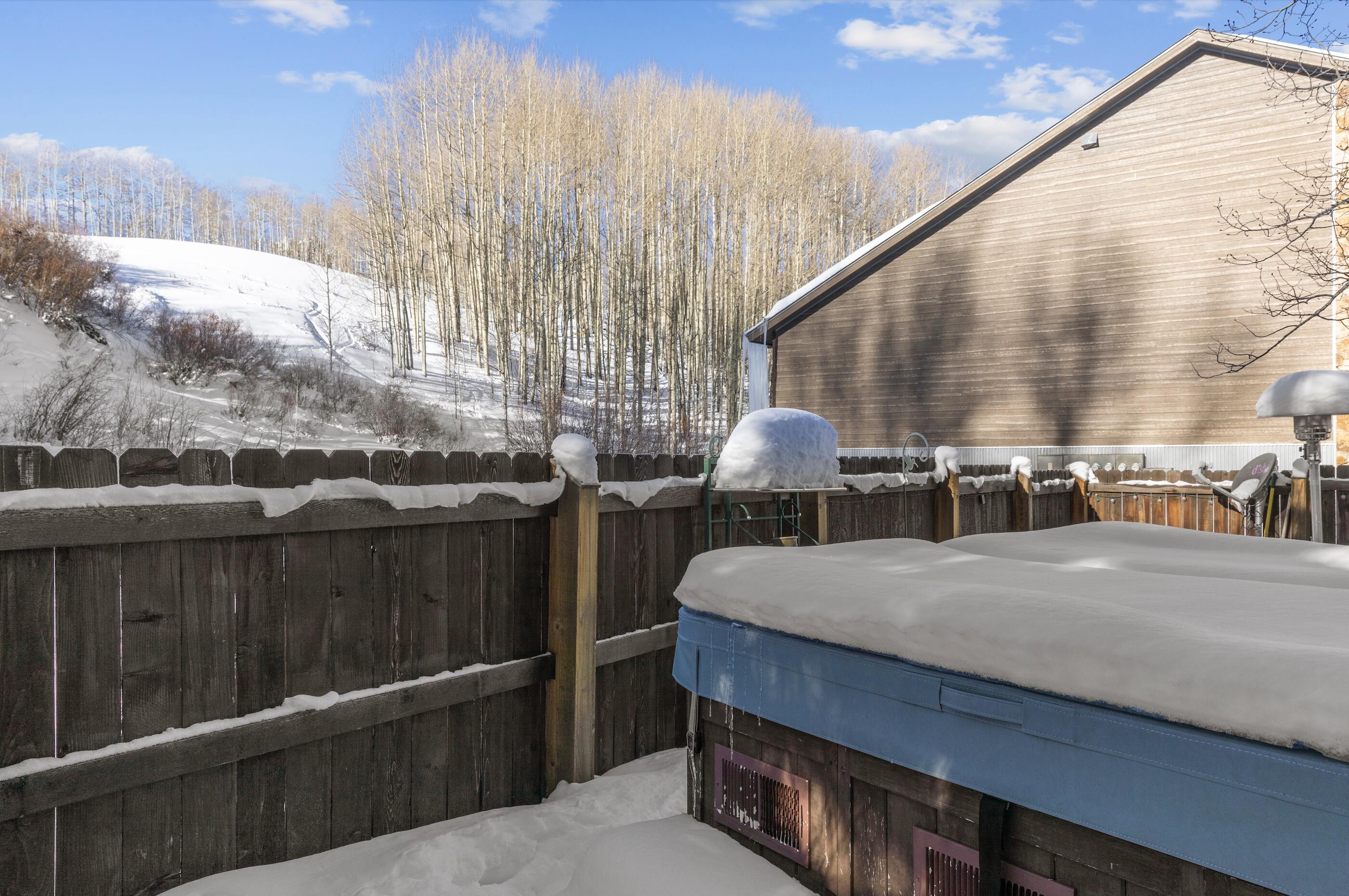 302 Adams Ranch Road, Unit 18 Mountain Village, CO 81435 - Photo 11 of 12 Back yard to golf couse