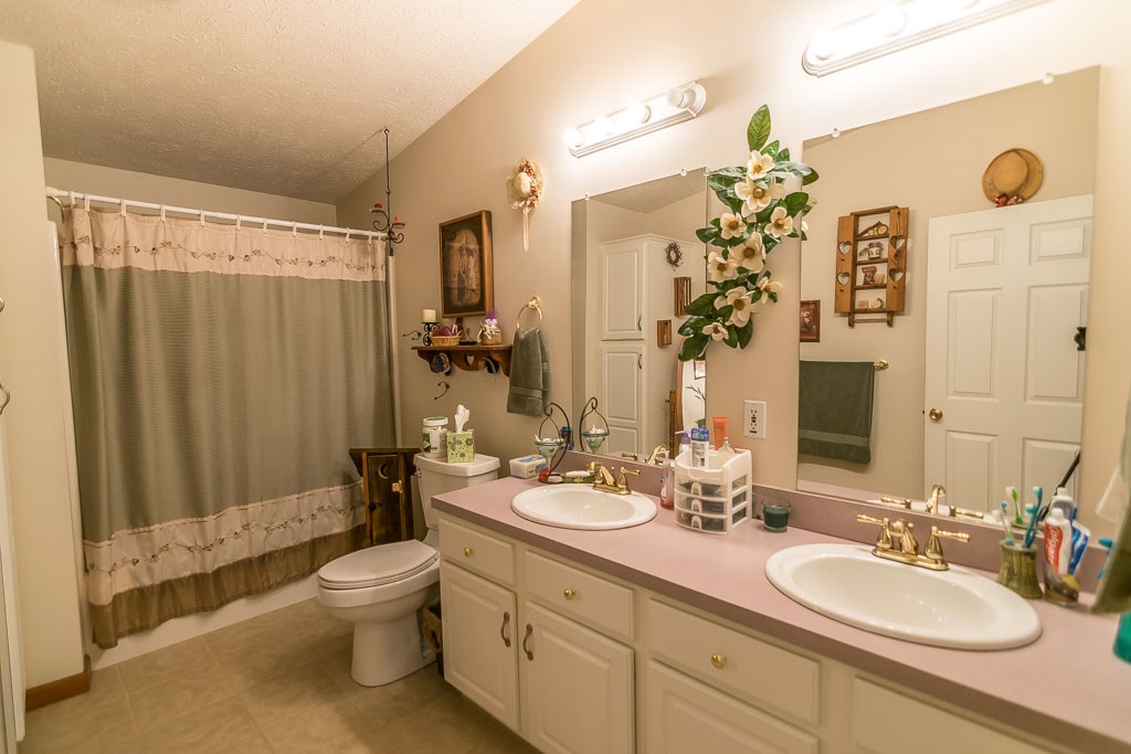 325 Steeles Fort Road Raphine, VA 24472 - Photo 39 of 50 a bathroom with a double vanity sink mirror and toilet