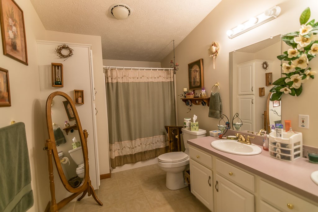325 Steeles Fort Road Raphine, VA 24472 - Photo 40 of 50 a bathroom with a double vanity sink toilet and shower