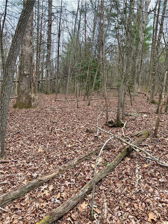 807 East Ridge Lane Ellijay, GA 30536 - Photo 3 of 7