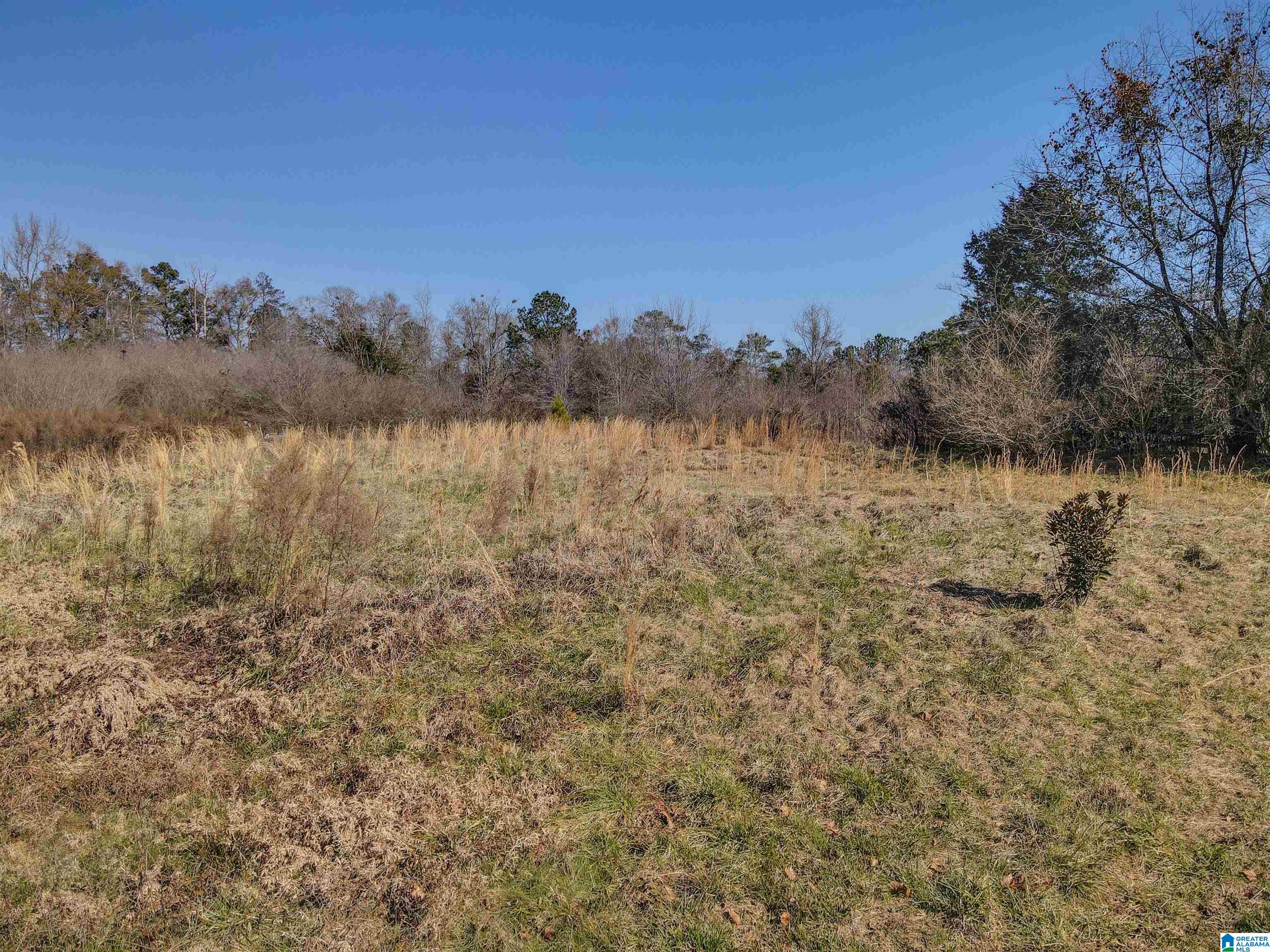 807 Yellow Leaf Road, Unit 1 Clanton, AL 35045 - Photo 14 of 18