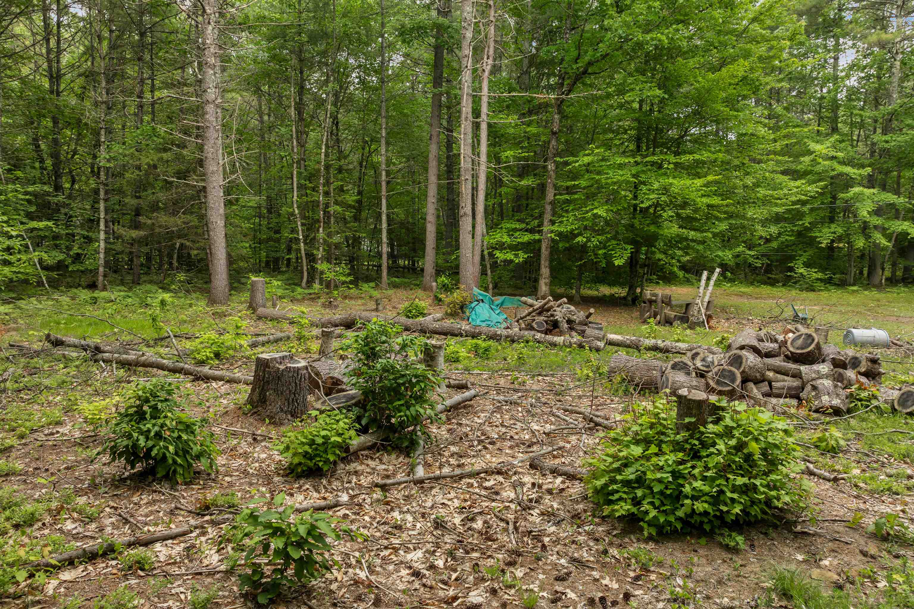 111 Green Mountain Road Effingham, NH 03882 - Photo 3 of 18 Gallery Image 3